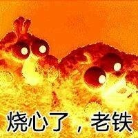 你的良心不会炸吗系列微信爆笑表情包合集下载