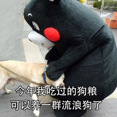 2017年末总结熊本熊系列表情包合集下载
