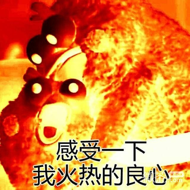 你的良心不会炸吗系列微信爆笑表情包合集下载