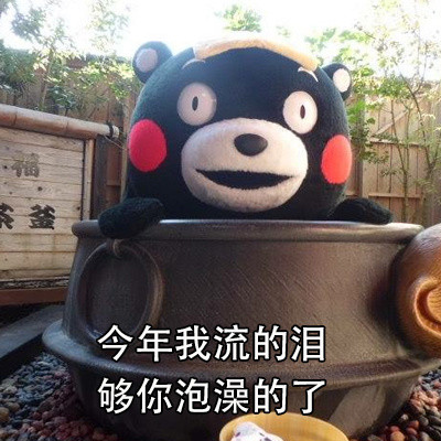 2017年末总结熊本熊系列表情包合集下载