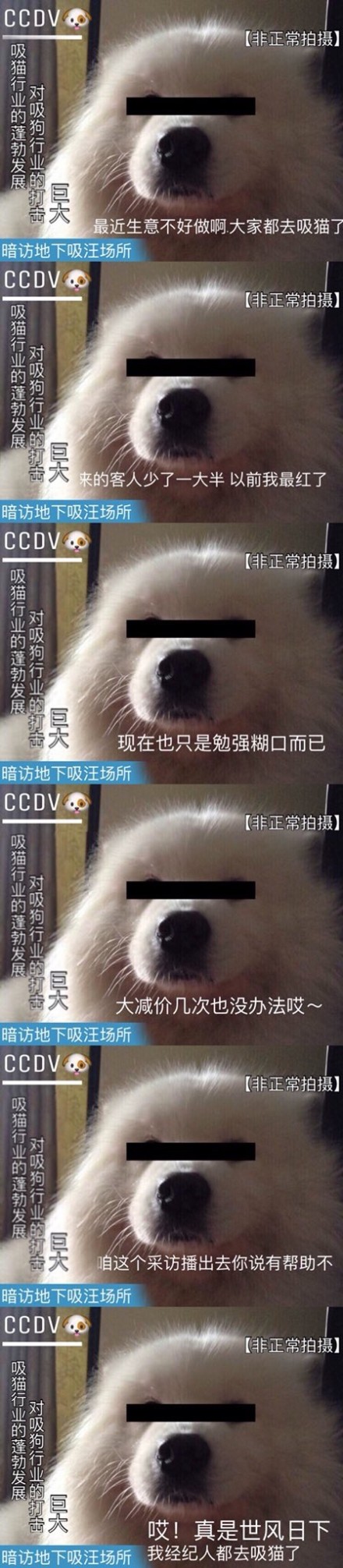 可爱搞笑吸猫吸汪会所系列微信表情包下载