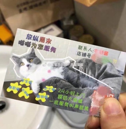 可爱搞笑吸猫吸汪会所系列微信表情包下载