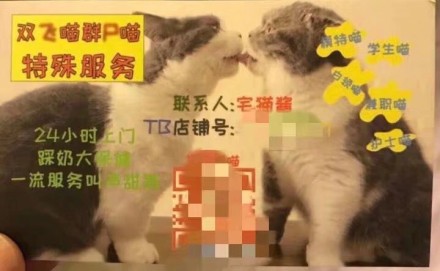 可爱搞笑吸猫吸汪会所系列微信表情包下载