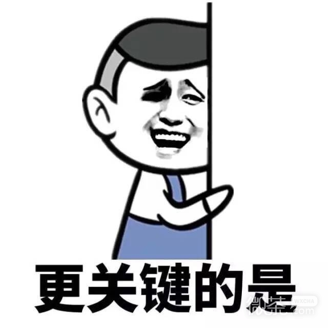 微信爆笑蘑菇头找男朋友建议系列头像下载