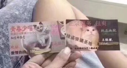 可爱搞笑吸猫吸汪会所系列微信表情包下载