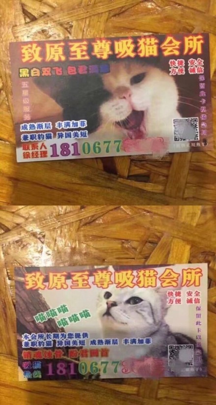 可爱搞笑吸猫吸汪会所系列微信表情包下载