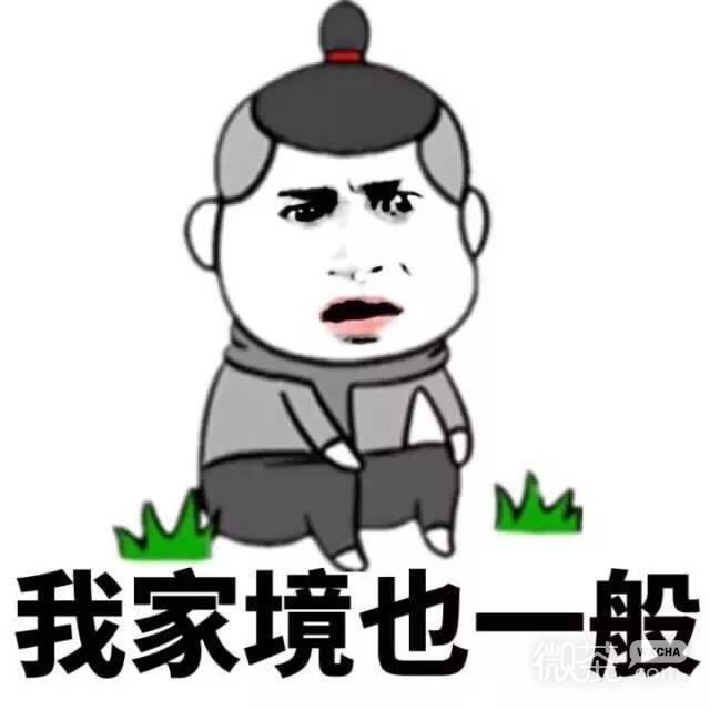 微信爆笑蘑菇头找男朋友建议系列头像下载