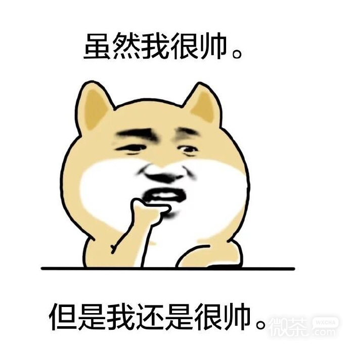 可爱搞笑微信自卖自夸表情包合集下载