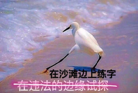 海鸥沙滩试探系列微信表情包合集下载