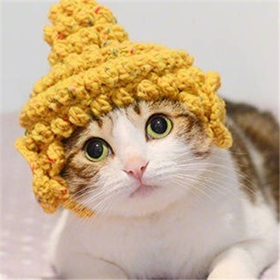 萌萌哒的宠物系列微信情侣头像下载