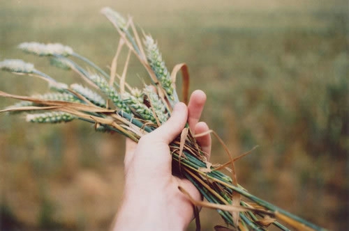 唯美有意境微信小清新图片大全下载