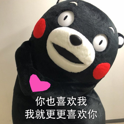 仙女熊本熊的爱情观系列微信表情包下载