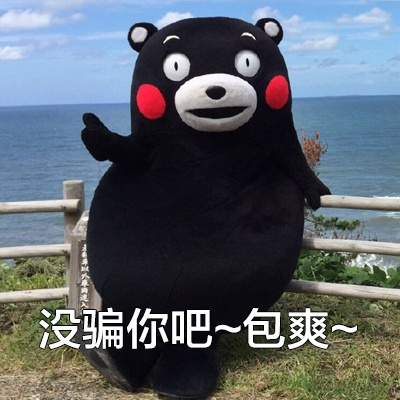 搞笑污污的微信熊本熊买鞋表情包下载