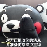 拒收消息熊本熊系列微信恶搞表情包下载