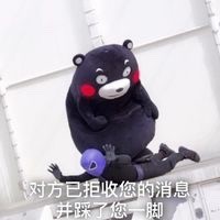拒收消息熊本熊系列微信恶搞表情包下载