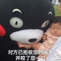 拒收消息熊本熊系列微信恶搞表情包下载