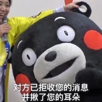 拒收消息熊本熊系列微信恶搞表情包下载