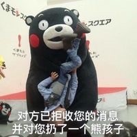 拒收消息熊本熊系列微信恶搞表情包下载