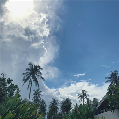 霸气简洁微信纯文字头像合集下载