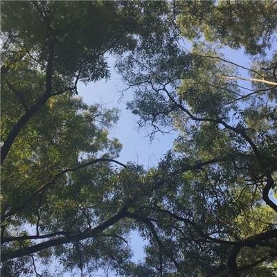 霸气简洁微信纯文字头像合集下载