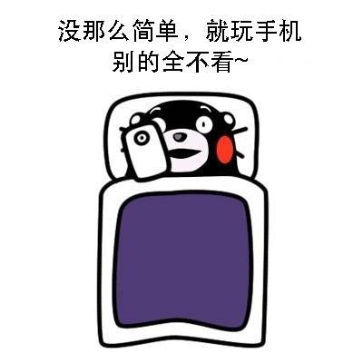 周末玩手机熊本熊微信恶搞表情包下载