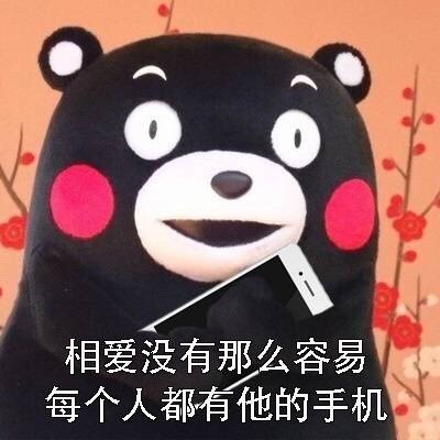 周末玩手机熊本熊微信恶搞表情包下载