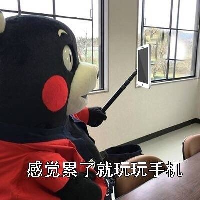 周末玩手机熊本熊微信恶搞表情包下载