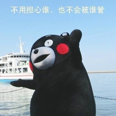 周末玩手机熊本熊微信恶搞表情包下载