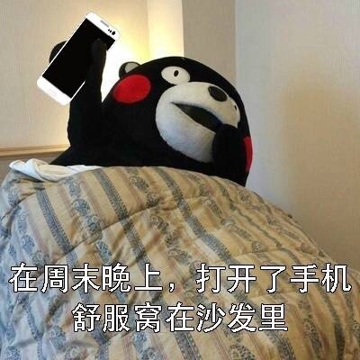 周末玩手机熊本熊微信恶搞表情包下载