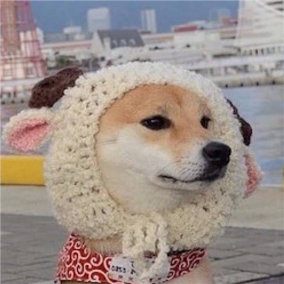 可爱萌系宠物系列微信情侣头像下载