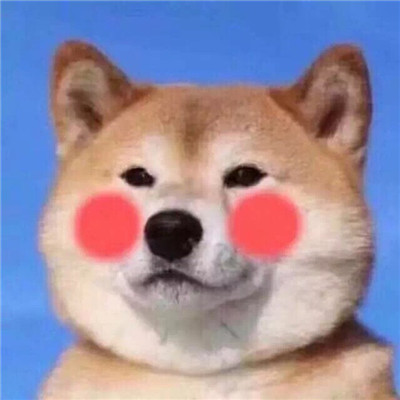 可爱萌系宠物系列微信情侣头像下载