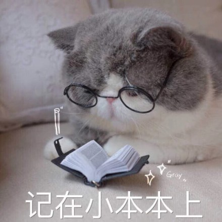 可爱激萌微信喵星人带字表情包合集下载