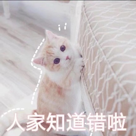 可爱激萌微信喵星人带字表情包合集下载