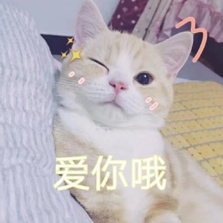 可爱激萌微信喵星人带字表情包合集下载