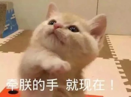 可爱激萌微信喵星人带字表情包合集下载