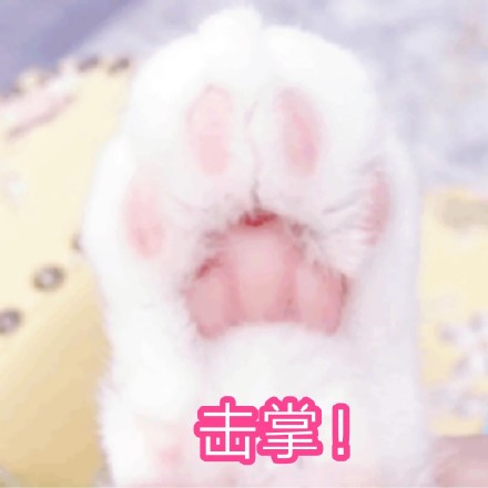 可爱激萌微信喵星人带字表情包合集下载