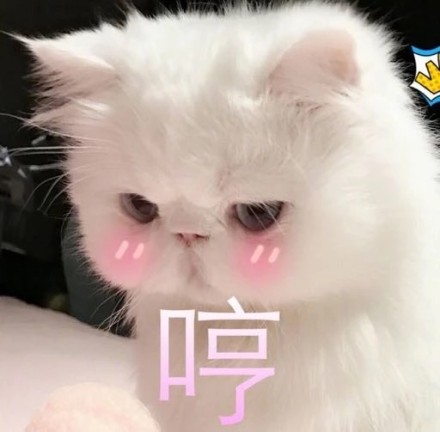 可爱激萌微信喵星人带字表情包合集下载