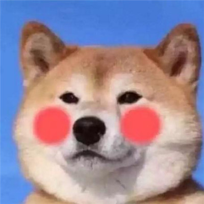 2018微信最新萌宠系列情侣头像合集下载