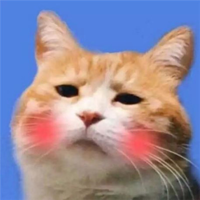 2018微信最新萌宠系列情侣头像合集下载