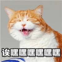 萌萌哒的喵星人系列微信恶搞表情包合集下载