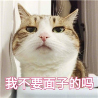 萌萌哒的喵星人系列微信恶搞表情包合集下载