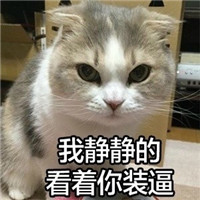 萌萌哒的喵星人系列微信恶搞表情包合集下载