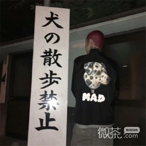 帅气小清新微信小鲜肉头像合集下载