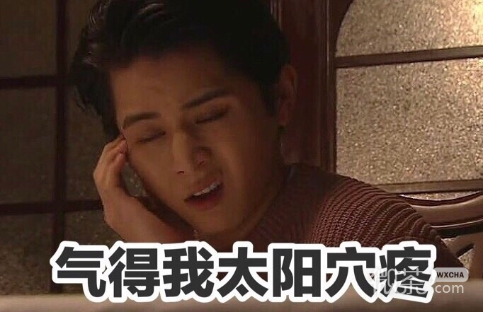 气得我太阳穴疼系列微信山田凉介带字表情包下载