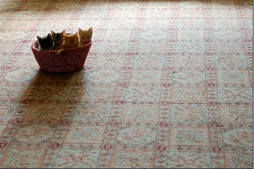 唯美暖心风格微信治愈系图片下载