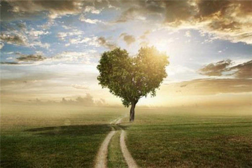 唯美暖心风格微信治愈系图片下载