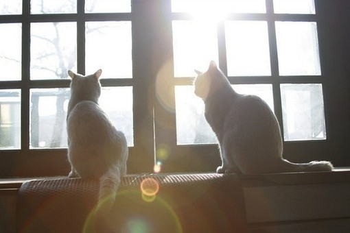 唯美暖心风格微信治愈系图片下载