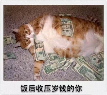 微信爆笑恶搞春节时期喵星人表情包合集下载