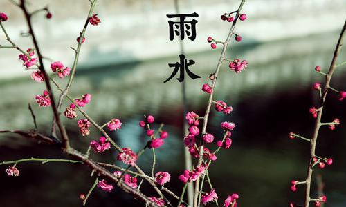 微信2018最新雨水系列朋友圈配图合集下载