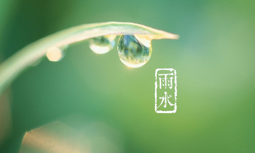 微信2018最新雨水系列朋友圈配图合集下载